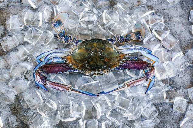 Raw Blue Swimmer Crab (400g Each)