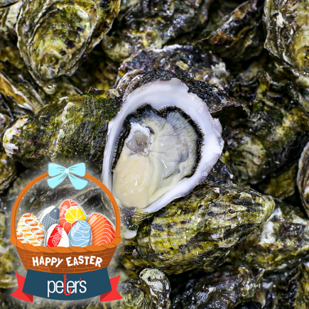 Oyster: Pacific (Easter)